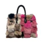 Ginevra - immagine 5